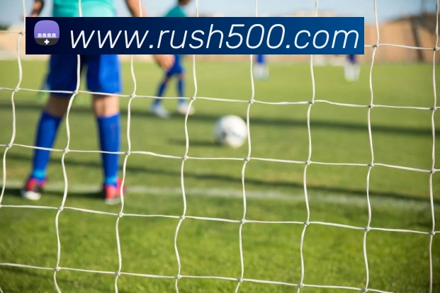 奖项证书